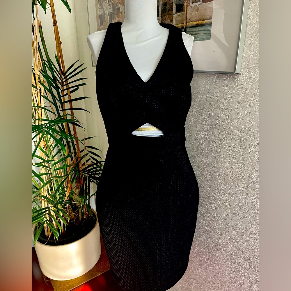 Badgley Mischka LBD